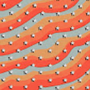 Meet your Posher, Kadence